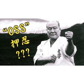Cosa significa OSS nelle arti marziali?